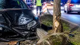 19‑Jähriger mit 1,66 Promille prallt in Walding gegen Baum und Gedenkstein