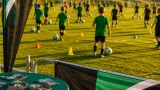 74 Nachwuchskicker trainierten vier Tage lang mit Profis der SV Ried