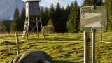 Abschussverordnung für mutmaßlichen Schadwolf im Bezirk Imst erfüllt und aufgehoben