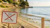 Ältere Reisende besonders gefährdet: Vibrionen-Infektionen nach Ostseeaufenthalten