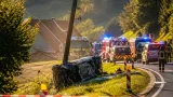 Alkohol am Steuer: Pkw rammt Strommast bei Langen – Lenker flüchtet und wird zu Hause angetroffen