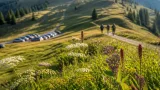 Almkräuterwanderung auf der Saualm zieht Naturinteressierte nach Wolfsberg