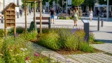 Amstetten profitiert von Landesförderung für naturnahe Grünraum-Projekte