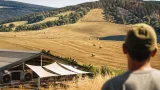 Anhaltende Hitze und Dürre setzen Landwirte im Bezirk stark zu