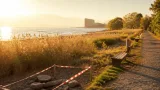 Appell und Sperren wegen hoher Brandgefahr in Bregenz
