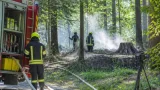 Aufmerksamer Bürger und Feuerwehren verhindern Ausbreitung eines Waldbrandes
