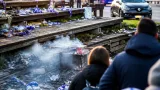 Ausschreitungen bei Länderspiel in Buch-St. Magdalena: Drei Verletzte, sieben Festnahmen