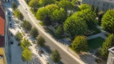 Bäume als städtische Klimaanlage: Wie Grünräume Innsbruck merklich abkühlen