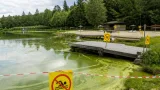Behörde untersagt Baden im Moorbad Schrems nach Befund von Blaualgen
