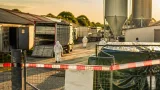 Behördliche Ermittlungen nach Fund von Hunderten toten Schweinen in Amstetten
