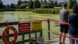 Behördliches Badeverbot im Moorbad Schrems nach Blaualgenbefall verhängt