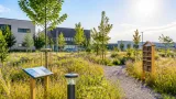 Betriebsflächen als Biotope: Wie Unternehmen im Südoststeirischen Vulkanland Arten fördern