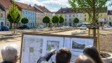 Bezirksgrüne fordern mehr Entsiegelung und Transparenz bei Bauprojekten