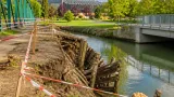Biber untergraben Dämme am Mühlbach – Stadt Sankt Pölten sperrt Bereich dauerhaft