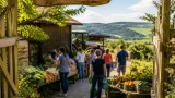 Bio-Hoffest und Direktverkauf: Zeitlhofer öffnet Hof in Behamberg am 14. August