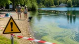 Blaualgen-Gefahr: Warnhinweise für Badegäste auch für Menschen aus Baden wichtig