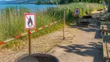 Bregenz sperrt Feuerstellen am Mehrerauer Seeufer wegen erhöhter Brandgefahr