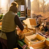 Trockenes Sommerloch drückt Pilzangebot – Preise steigen, Handel greift zu Importen