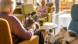 Demenzkatzen und Roboterhund bereichern Alltag im Pflegezentrum Korneuburg