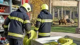 Deutsch-Wagram: Feuerwehr spendet ausgediente Schläuche an Bärenwald