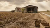 Dürre im Bezirk Bruck/Leitha: Wenn Marktmechanismen nicht mehr greifen, fordert die Redaktion staatliche Hilfe