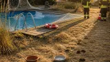 Dürre treibt Rehe in Siedlungen – Pools und Gartenzonen werden zur Gefahr