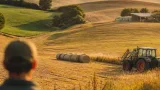 Dürre trifft Grünland: Südweststeirische Landwirte rechnen mit deutlichen Ernteverlusten