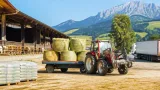Dürre zwingt Salzburger Milchbauern zu Rinderschlachtungen und teurem Zukauf