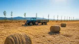 Dürrekrise im Bezirk: Bauern berichten von massiven Ernteeinbußen und Anpassungsstrategien
