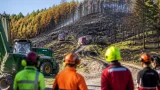 Ermittlungen abgeschlossen: Forstarbeiten als Auslöser des Großbrandes in Eisbach-Rein