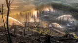 Ermittlungsabschluss nach Großbrand: Vier Forstarbeiter wegen Fahrlässigkeit angezeigt