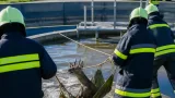 Feuerwehr Bad Fischau befreit Rehbock aus Klärbecken