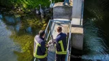 Feuerwehr vereint Jungschwan wieder mit Familie am Welser Mühlbach