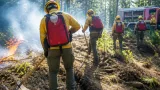Feuerwehren im Bezirk Freistadt schließen ersten offiziellen Lehrgang zur Vegetationsbrandbekämpfung ab