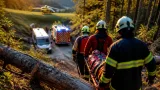 Forstarbeiter schwer verletzt: Großaufgebot von 45 Einsatzkräften im steilen Gelände