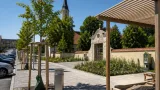 Freistadt startet lokale Maßnahmen gegen Sommerhitze: Bäume, Blühstreifen und eine Spendenaktion