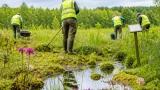 Freiwillige und Stadt gemeinsam: Pflegeeinsatz sichert Vielfalt im Naturdenkmal Siebenbründl