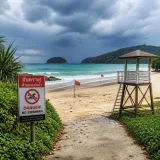 Warnung für Badeurlauber: Giftige Würfelquallen an beliebten Stränden Thailands