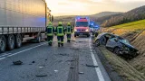 Frontalzusammenstoß auf B73 bei Ziprein: Eine Frau tot, Lkw-Fahrer leicht verletzt