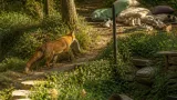 Fuchs sammelt Schuhe, Decken und Kissen: Anrainer in Hof am Leithaberg verunsichert