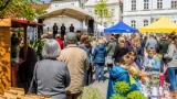 Fünf Jahre „Omas for Future“: Jubiläumsfest in Leibnitz setzt auf Generationen­vernetzung