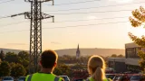 Fund in Leonding: Nymphensittich auf Strommast – Stadtservice sucht Besitzer
