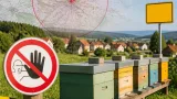 Gefahrenzone in Wohlsdorf: Drei-Kilometer-Radius nach Ausbruch der Bösartigen Faulbrut
