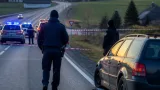 Geflohener Jugendlicher nach Serie von Eigentumsdelikten im Bezirk wieder in Haft