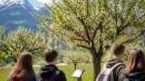 Glücksbaum in Zell am See: Schülerprojekt fördert Zusammenhalt in Schüttdorf