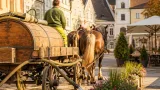 Gmünd: Gießpferd in Schwäbisch Gmünd nur noch einmal pro Woche — Tradition trifft Sparpolitik