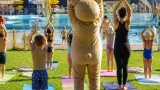 Gratis-Familiennachmittag im Wieselburger Freibad: Yogabär und Vereine laden zum Mitmachen
