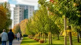 Gratis-Obst vom Baum: Horn kennzeichnet öffentliche Obstbäume für alle