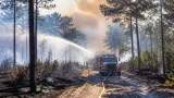 Großbrand im Föhrenwald: 2,5 Hektar Vegetation betroffen – Einsatz nach drei Stunden beendet