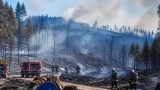 Großbrand im Föhrenwald: Phosphormunition löste Feuer auf rund 100 Hektar aus